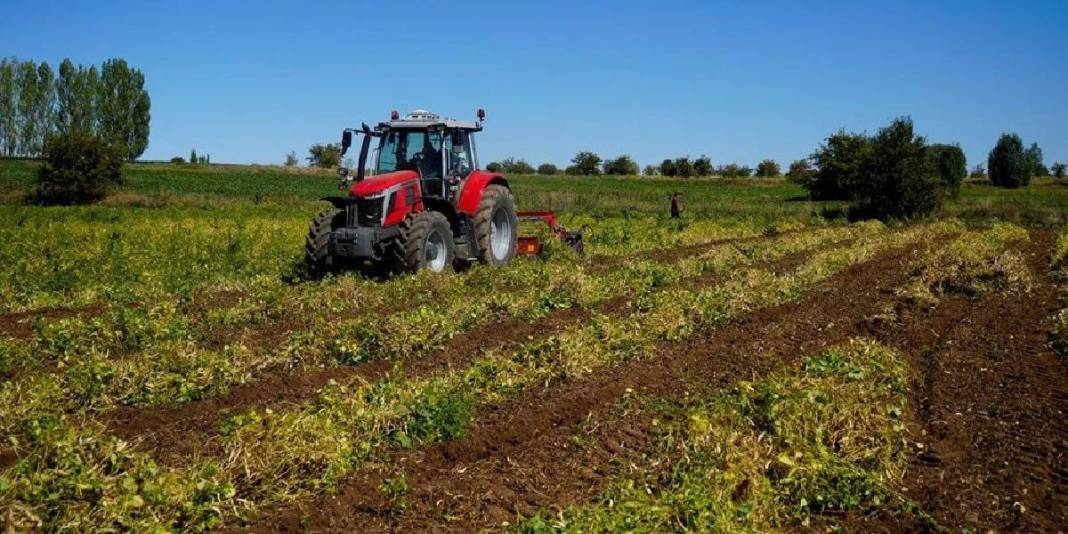 Adı şeker, lezzeti tescilli! Gümüşhane’den tüm Türkiye’ye: Kilosu 250 TL’den çokça satılıyor 4
